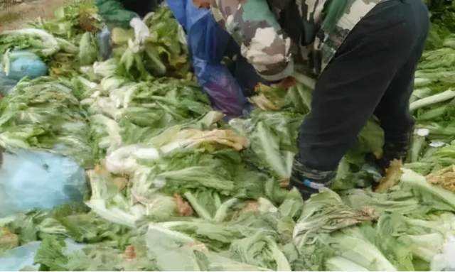 從”老壇酸菜“事件引發的反思：凈水器的甄別也需謹慎再三！